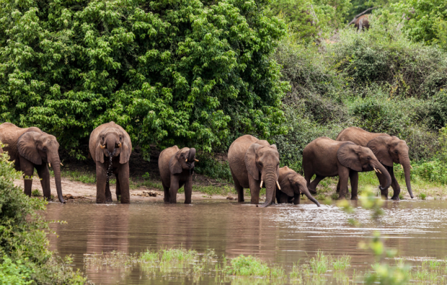 Ceylon Wonderland