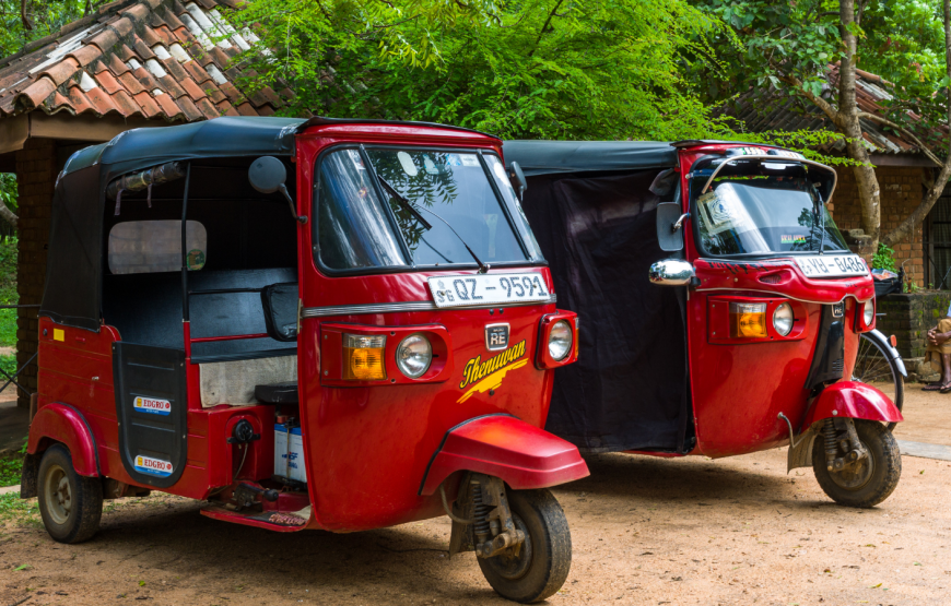 TUK TUK TOURS