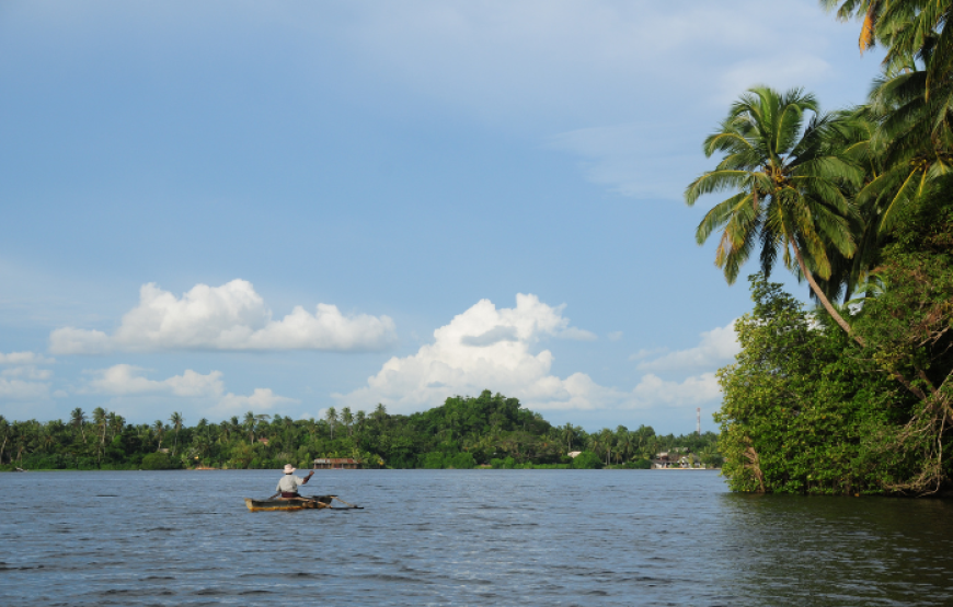 Ceylon Foods Tour