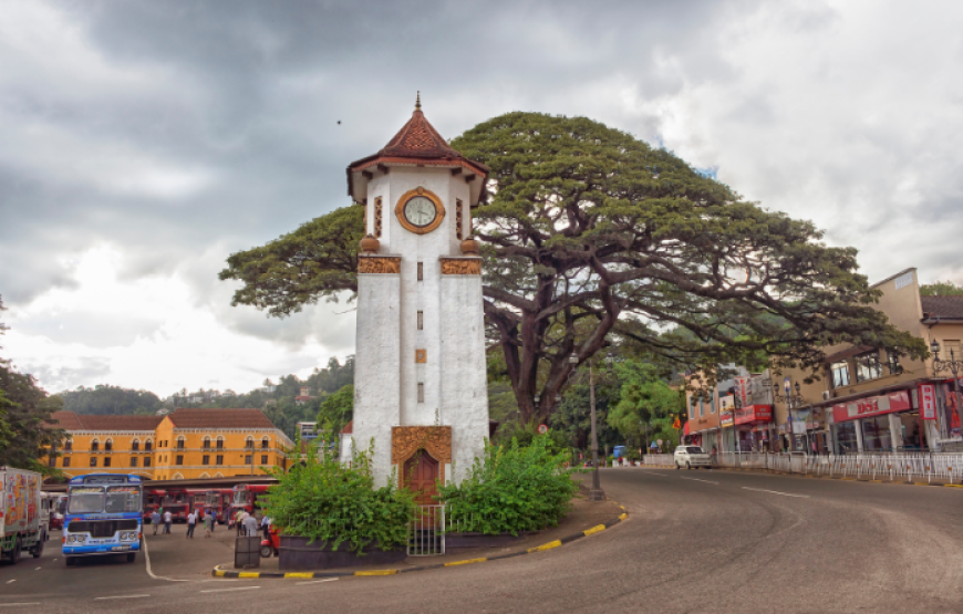 Ceylon Wonderland