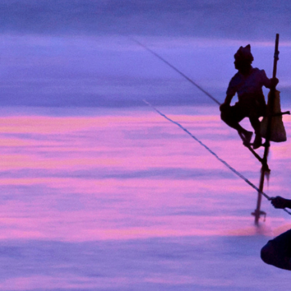 Contact - Avoga Tours