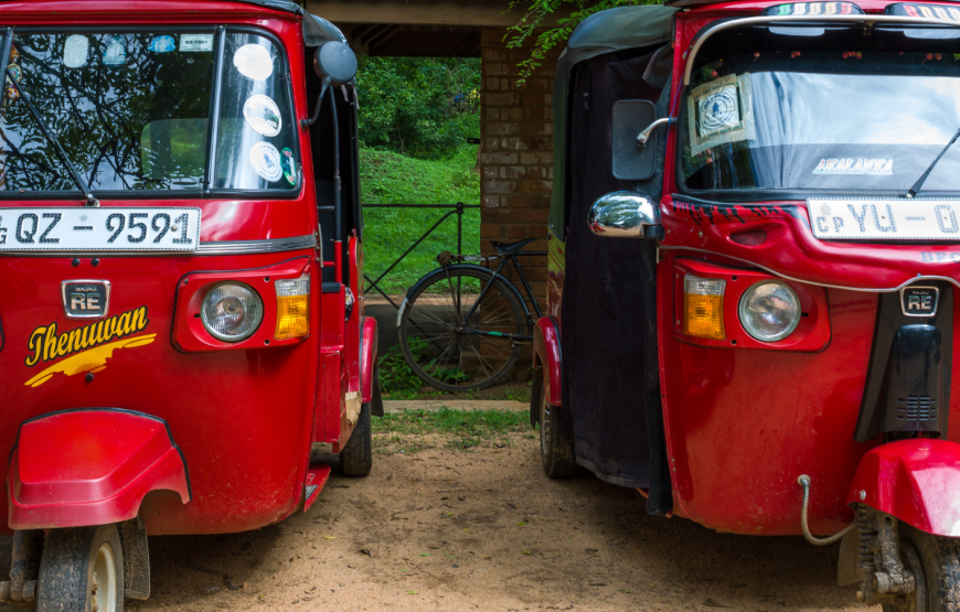 TUK TUK TOURS